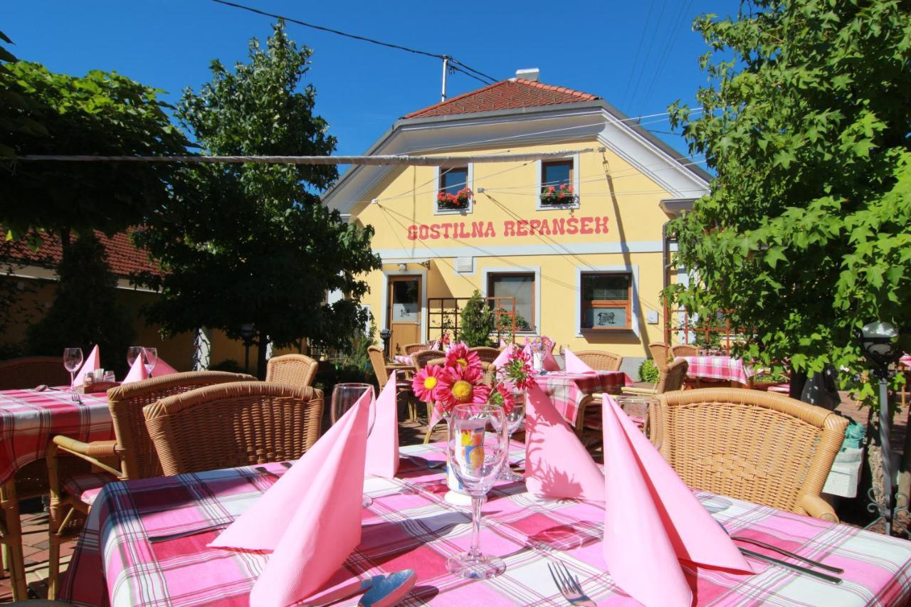 Penzion Repansek Radomlje Extérieur photo